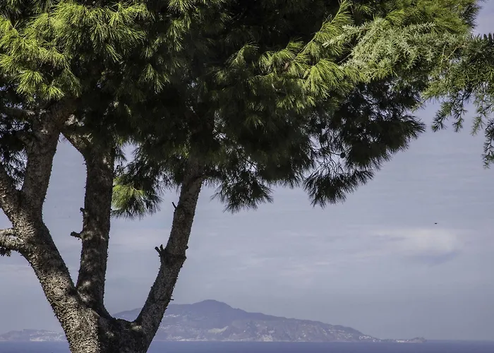 Il Giardino Dell\'Arte