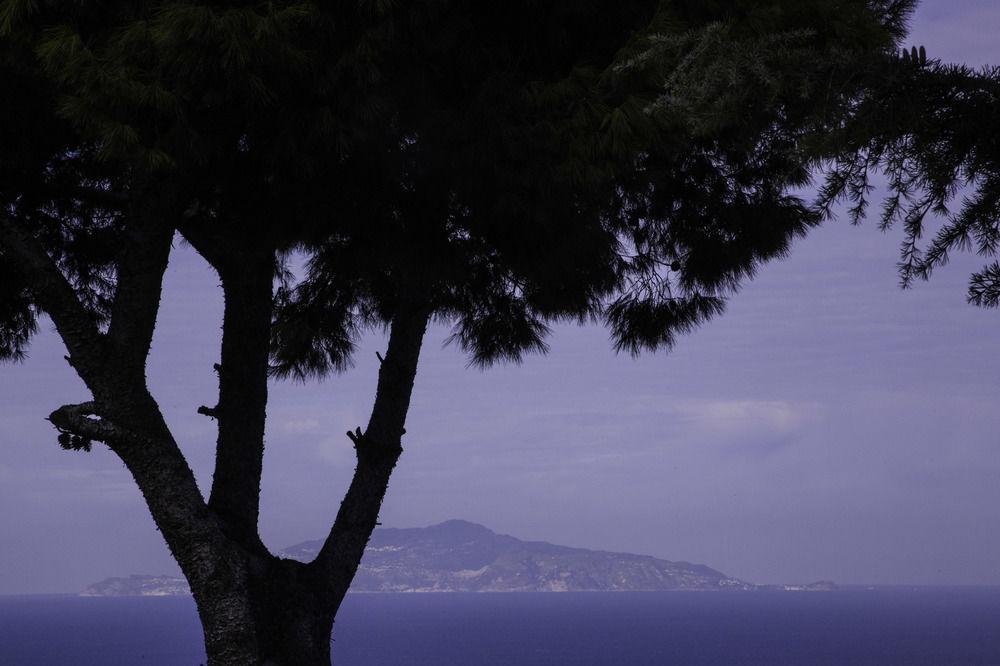 Il Giardino Dell'arte Bed and breakfast Anacapri (Isola di Capri)